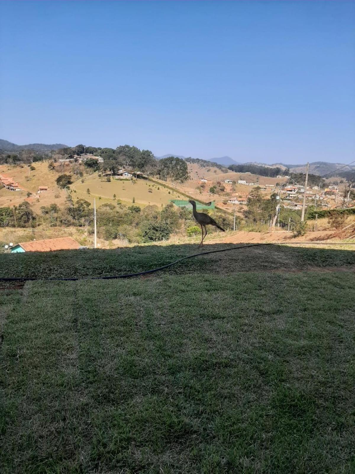 סנטו אנטוניו דו פינהאל Recanto Alvorada - Casa De Campo מראה חיצוני תמונה